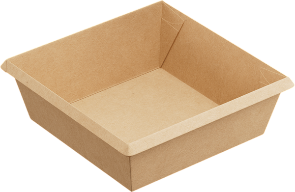 Набор одноразовых контейнеров 1EA OneClick bottom OCbot550/b - фото