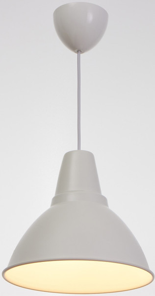 Потолочный светильник BayerLux 2537/1WT / 7488057 - фото