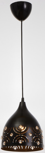 Потолочный светильник BayerLux 5005/1BK / 7488060 - фото