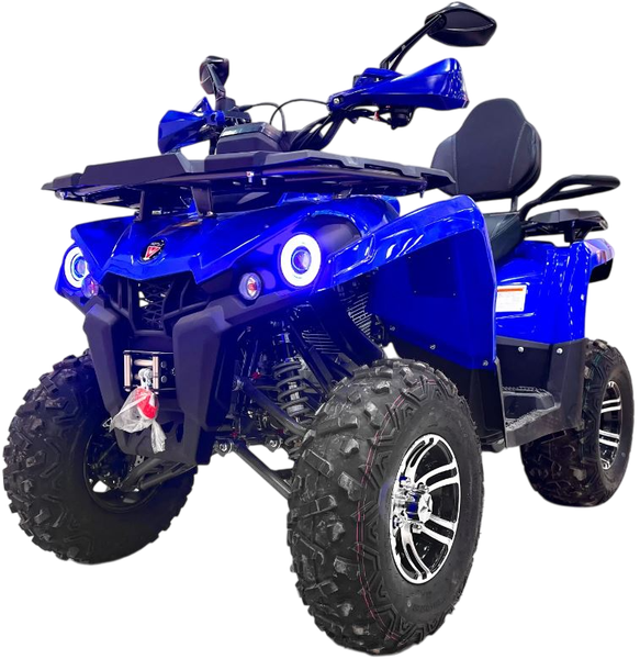 Квадроцикл Motax Grizlik 200 Ultra Big - фото