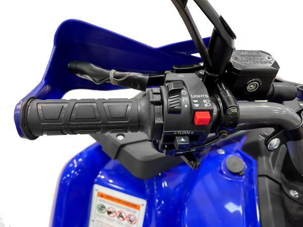 Квадроцикл Motax Grizlik 200 Ultra Big