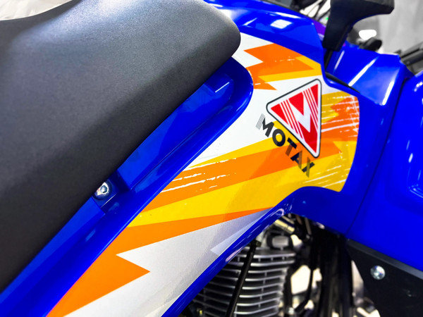 Квадроцикл Motax Grizlik 200 Ultra Big