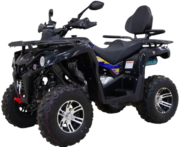 Квадроцикл Motax Grizlik 200 Ultra Big - фото