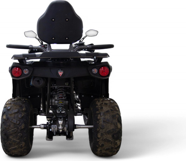 Квадроцикл Motax Grizlik 200 Ultra Big