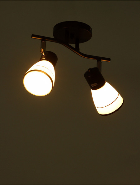 Спот BayerLux Айрис / 10352867