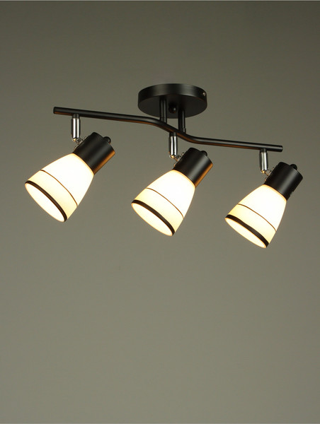 Спот BayerLux Айрис / 10352868 - фото