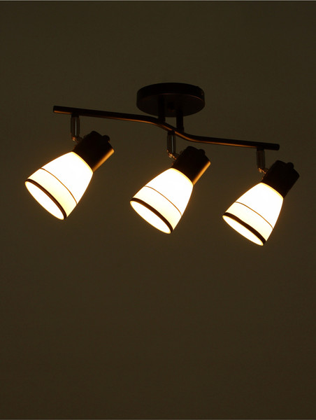 Спот BayerLux Айрис / 10352868