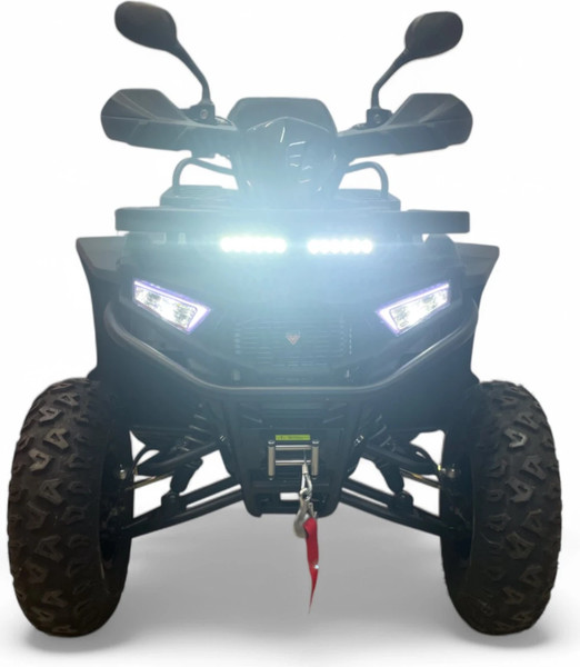 Квадроцикл Motax Grizlik W200 Lux