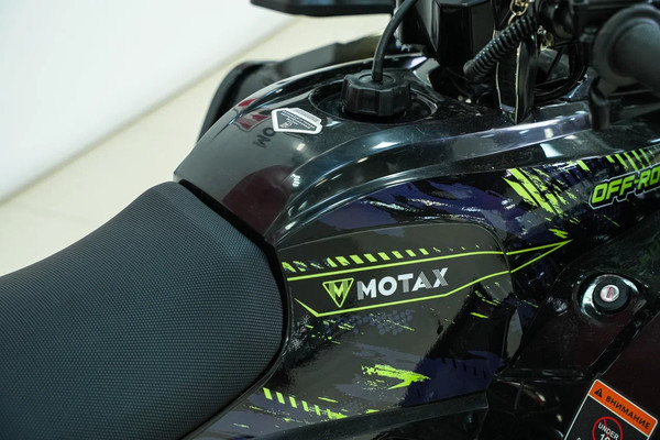 Квадроцикл Motax Grizlik Lux 125