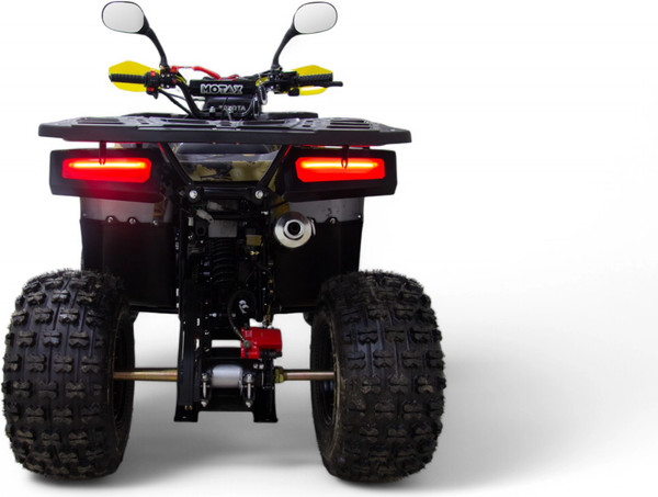 Квадроцикл Motax Grizlik Premium 125