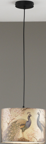 Потолочный светильник Moderli Strauss V11514-1P - фото