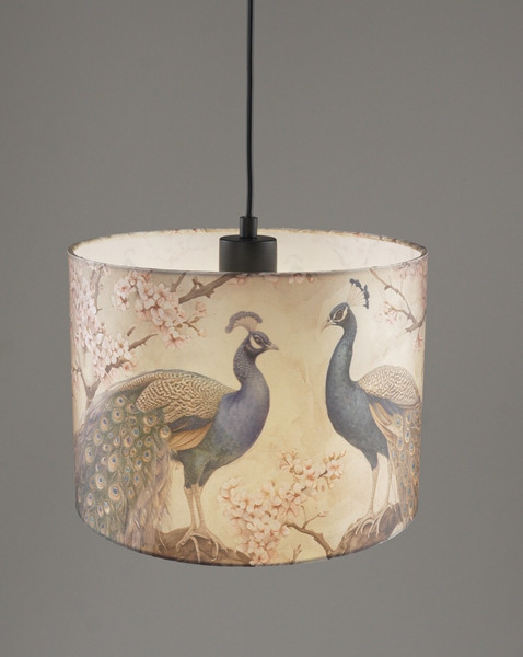 Потолочный светильник Moderli Strauss V11514-1P