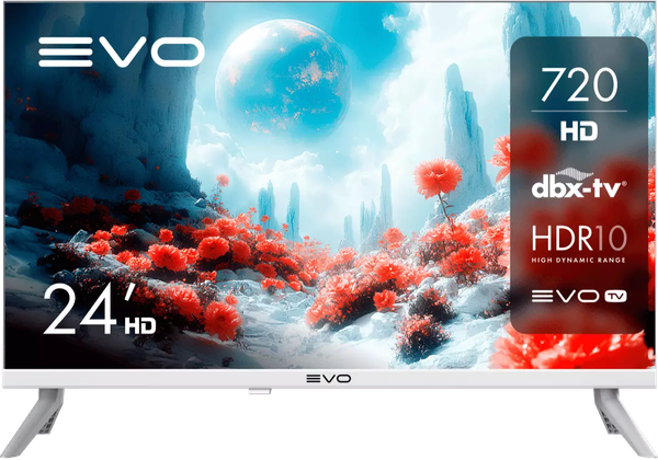 Телевизор Evo TV 24
