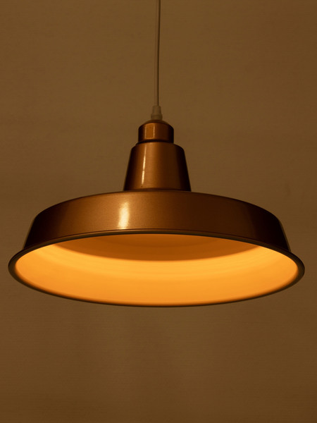 Потолочный светильник BayerLux Ronald / 10537771