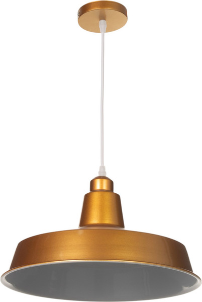 Потолочный светильник BayerLux Ronald / 10537772 - фото