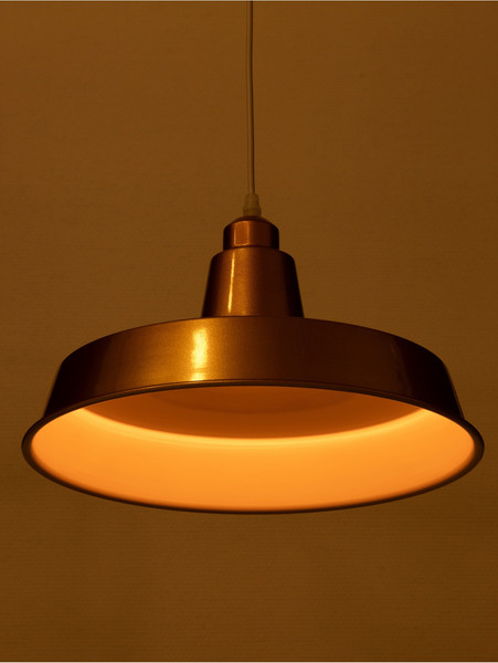 Потолочный светильник BayerLux Ronald / 10537772