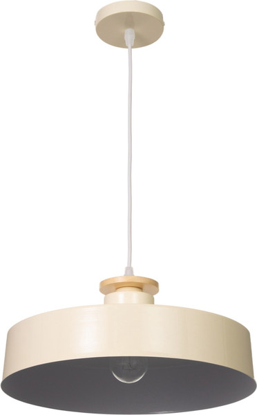 Потолочный светильник BayerLux Timothy / 10537781 - фото