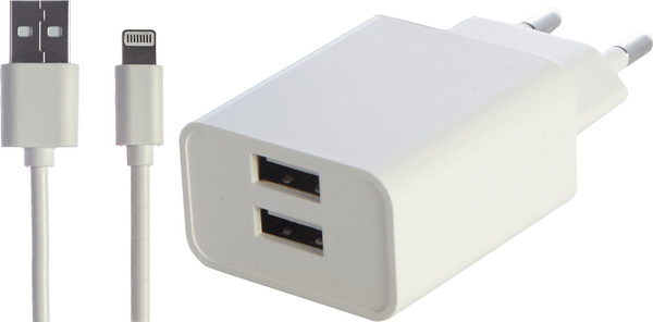 Зарядное устройство сетевое Bingo B2-U2, 2.1A с кабелем Lightning - фото