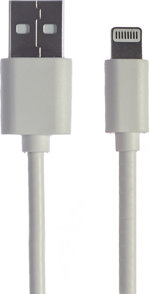 Зарядное устройство сетевое Bingo B2-U2, 2.1A с кабелем Lightning