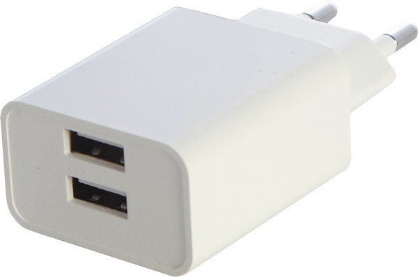 Зарядное устройство сетевое Bingo B2-U2, 2.1A с кабелем MicroUSB