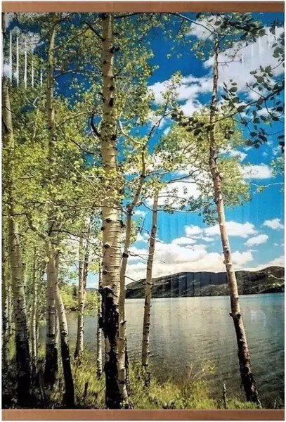 Инфракрасный обогреватель Домашний очаг Березки / 75669324-2015 - фото