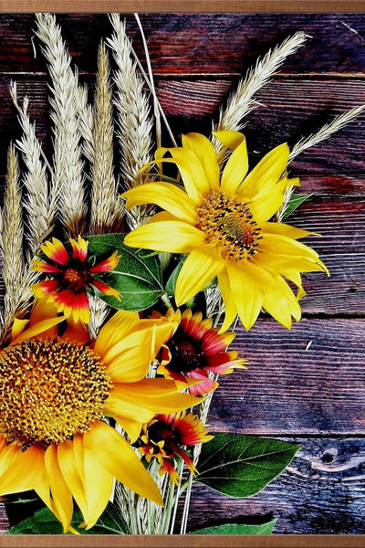 Инфракрасный обогреватель Домашний очаг Подсолнухи / 4627155469870 - фото