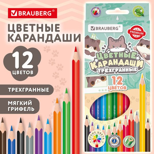 Набор цветных карандашей Brauberg Милые коты / 182109