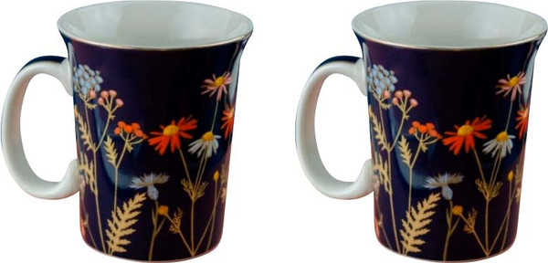 Набор кружек Nouvelle Grace 0440019-Н2 - фото