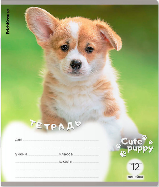 Тетрадь Erich Krause Щенки / 59974 - фото