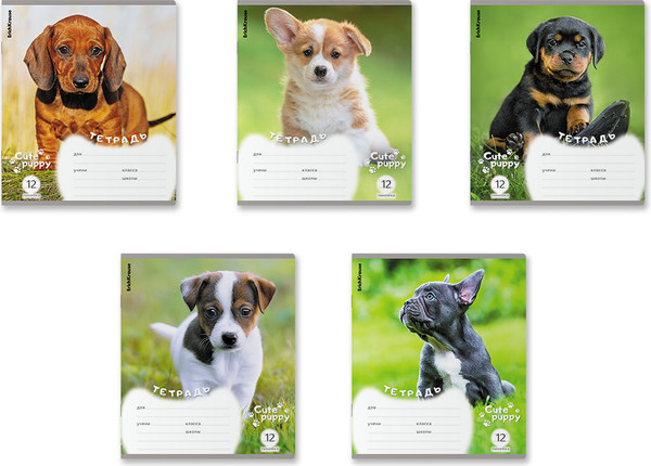 Тетрадь Erich Krause Щенки / 59974
