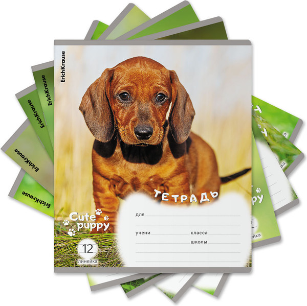 Тетрадь Erich Krause Щенки / 59974