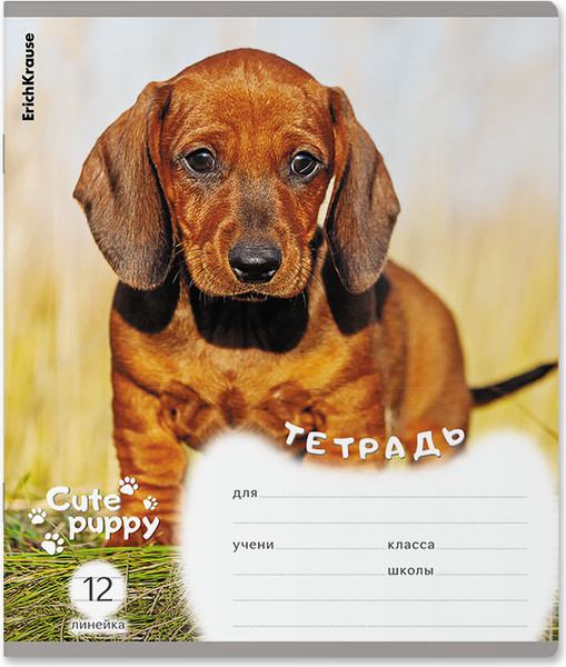 Тетрадь Erich Krause Щенки / 59974