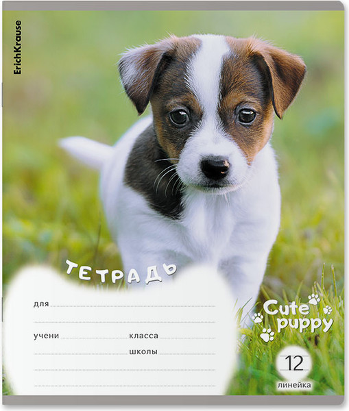 Тетрадь Erich Krause Щенки / 59974