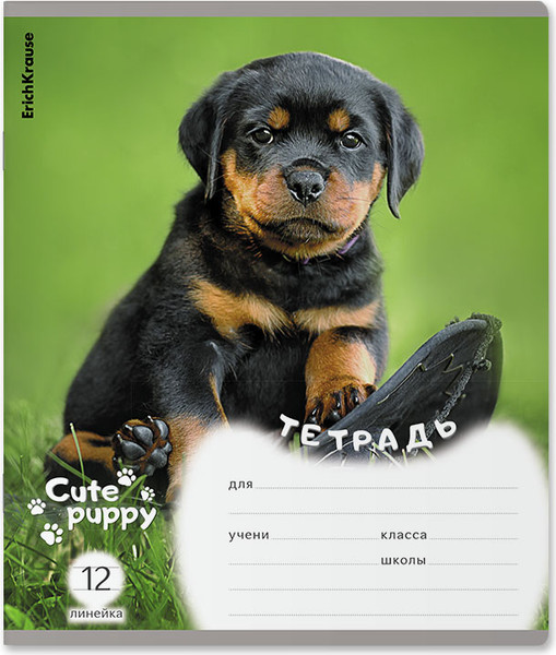 Тетрадь Erich Krause Щенки / 59974