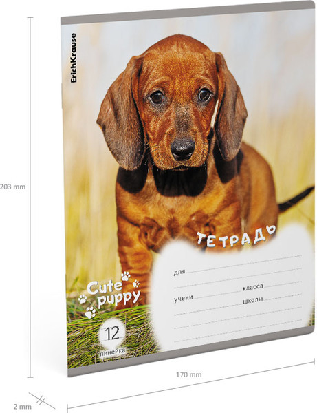 Тетрадь Erich Krause Щенки / 59974