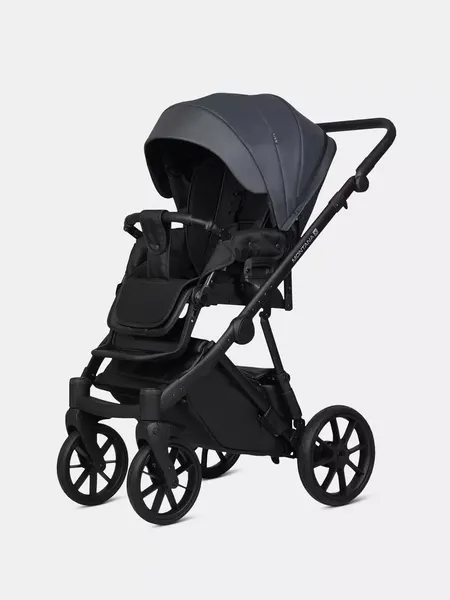 Детская универсальная коляска Riko Montana X Ecco 3 В 1 Basic