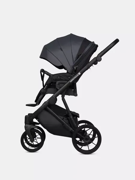 Детская универсальная коляска Riko Montana X Ecco 3 В 1 Basic