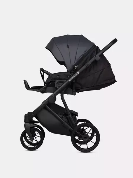 Детская универсальная коляска Riko Montana X Ecco 3 В 1 Basic