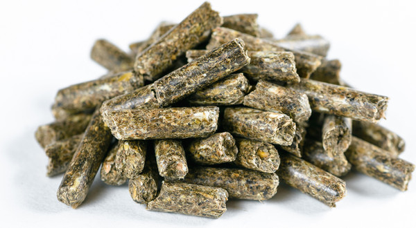 Корм для грызунов Зверюшки Для шиншилл