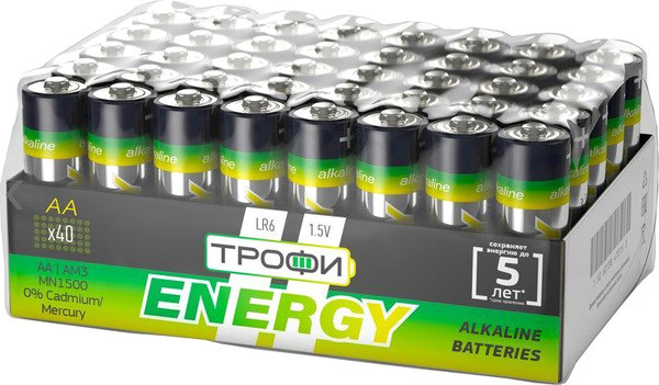 Комплект батареек Трофи Energy LR6-40 Bulk - фото
