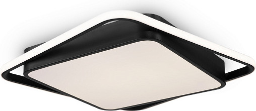 Потолочный светильник Freya FR10030CL-L88B