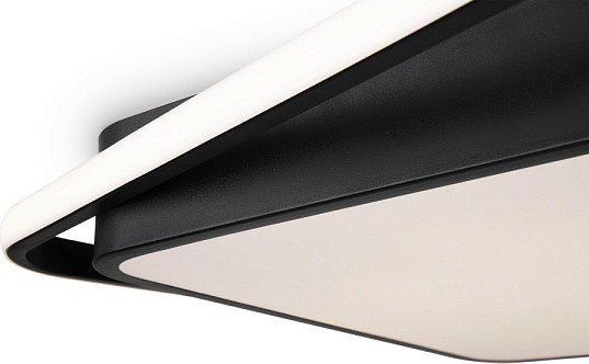 Потолочный светильник Freya FR10030CL-L88B