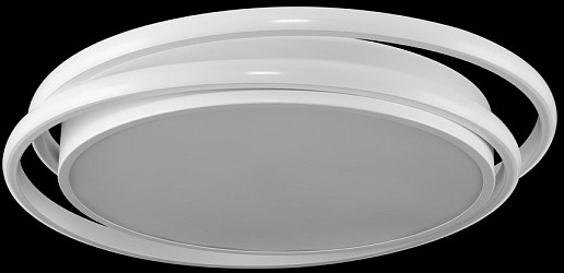 Потолочный светильник Freya FR10031CL-L98W - фото