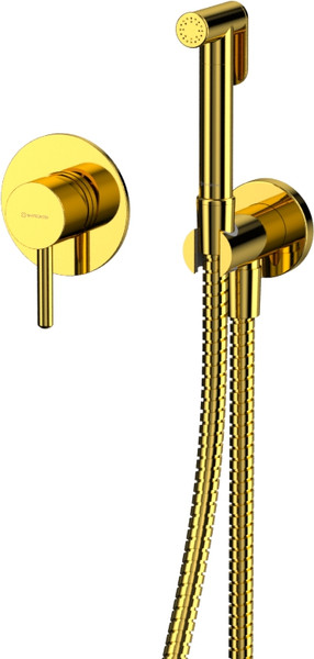 Гигиенический душ со смесителем Whitecross SYSYBI1GL - фото