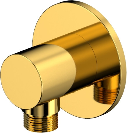 Подключение для душевого шланга Whitecross Y1018GL - фото