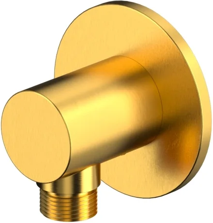 Подключение для душевого шланга Whitecross Y1018GLB - фото