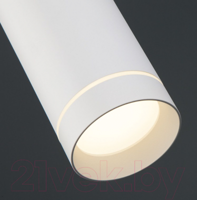 Точечный светильник Elektrostandard DLR023 12W 4200K