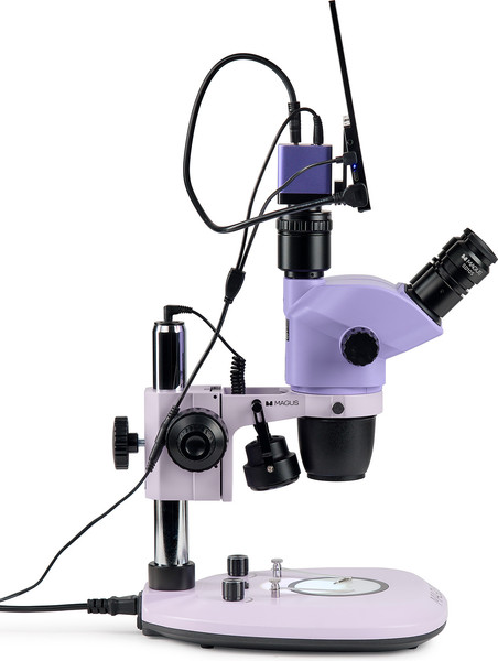 Микроскоп цифровой Magus Stereo D8T LCD Base / 85283
