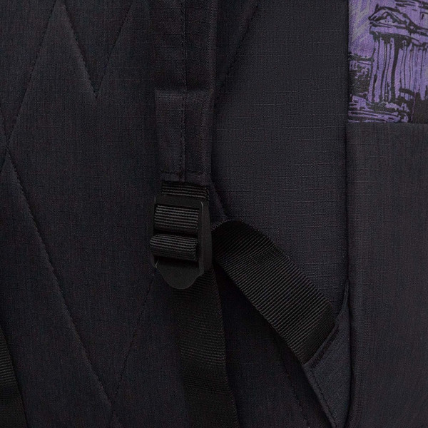 Рюкзак Grizzly RXL-627-2