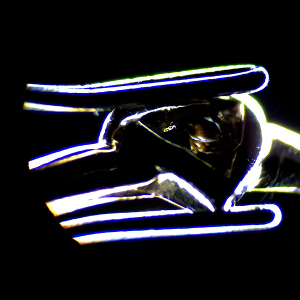 Микроскоп цифровой Magus Stereo D7T Plus / 85278